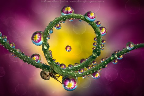 AGhizziPanizza_ARadius8Smoothing4