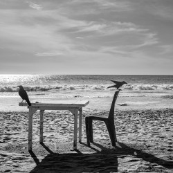 post-produzione-per-stampa-fine-art