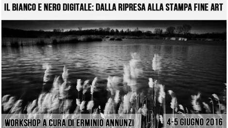 banner-workshop-800x450_annunzi