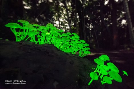 d8e0b9d0f904b2e162da60b79b9eefdd_original