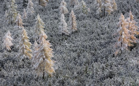 pb-neuschnee-in-fanes-429_grorg