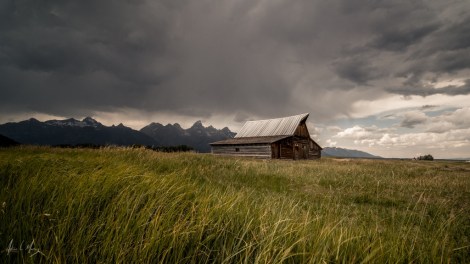 1502348346251-1024x576