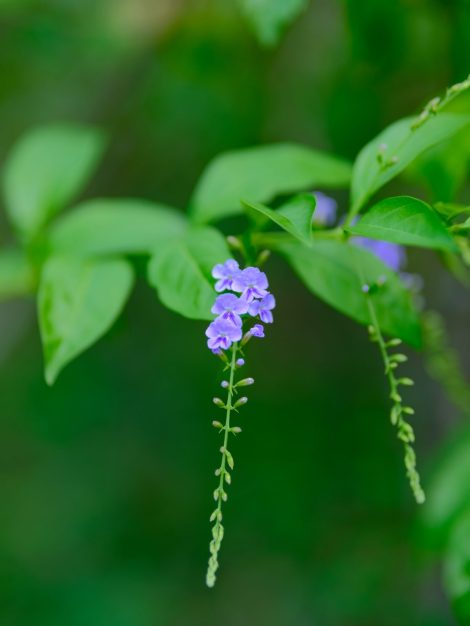 sigma135_dscf4157-1200x1600