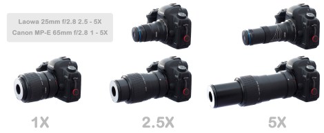 Size Comparison vs MPE-65