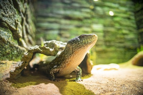 dsc03977_1e-1200x800