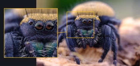 65mmAPSC-05-1200x569